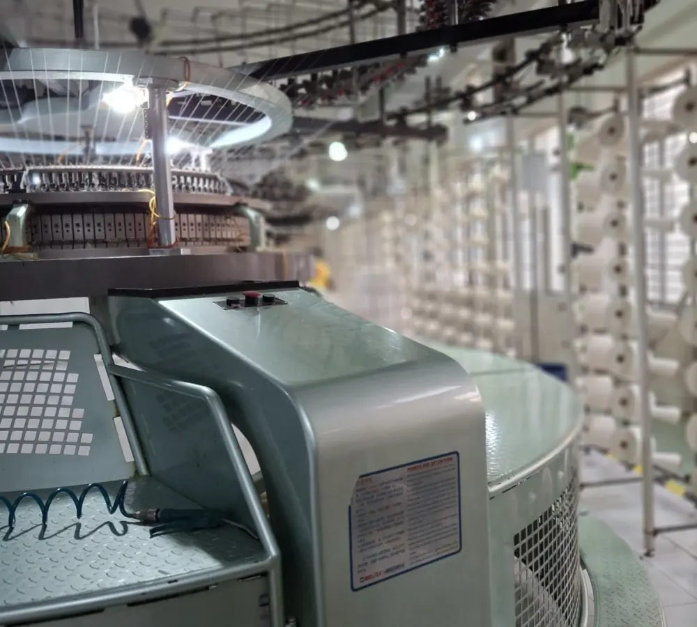 Shutterstock 2566000123