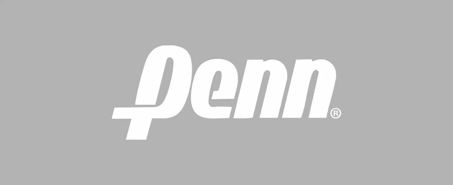 PENN LOGO BANNER